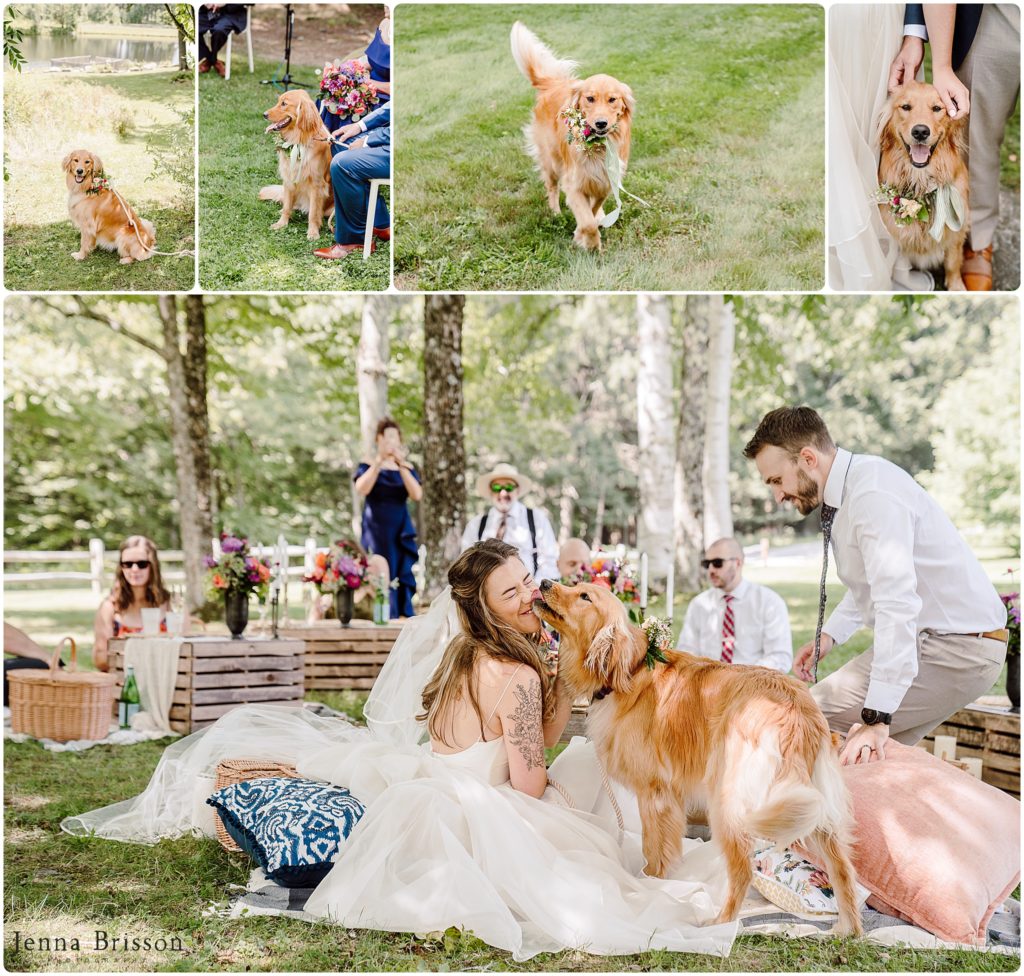 Vermont Wedding Guide Dogs