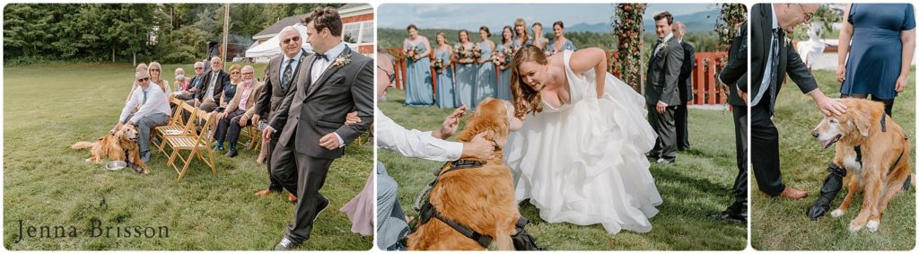 Vermont Wedding Guide Dogs 2